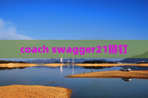 coach swagger21铆钉
